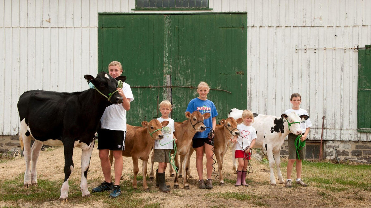 Woodcrest Dairy Lisbon, NY
