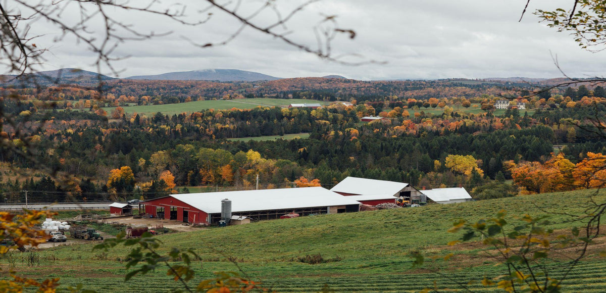 McDonald Farm Danville, VT