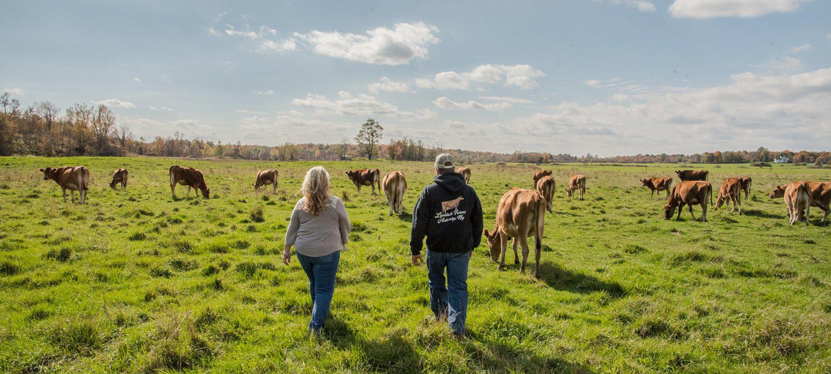 Lyndale Farms Antwerp, NY