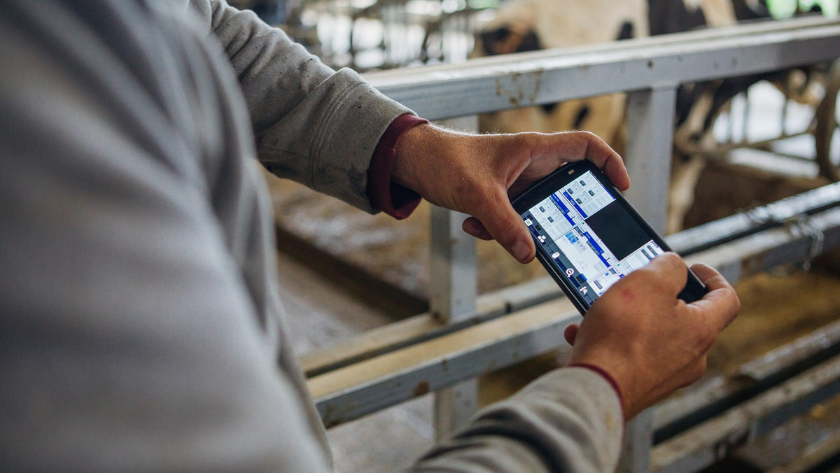 FarmLove – Foster Brothers Farm | Sustainability