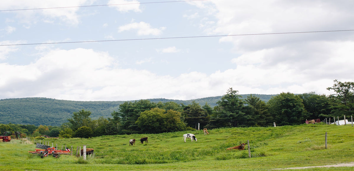 Four Hills Farm Bristol, VT