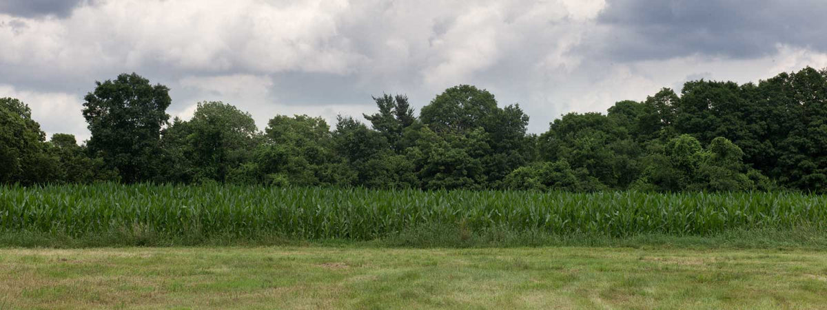 Fort Hill Farms Thompson, CT