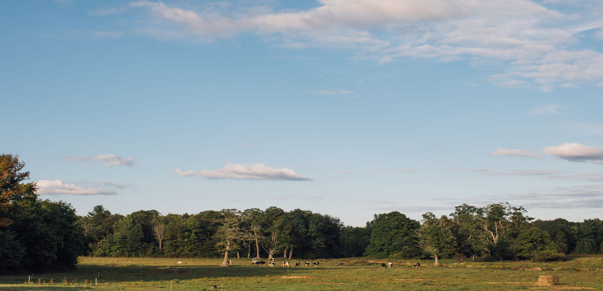 Lisbon Centre Farms Lisbon, NY