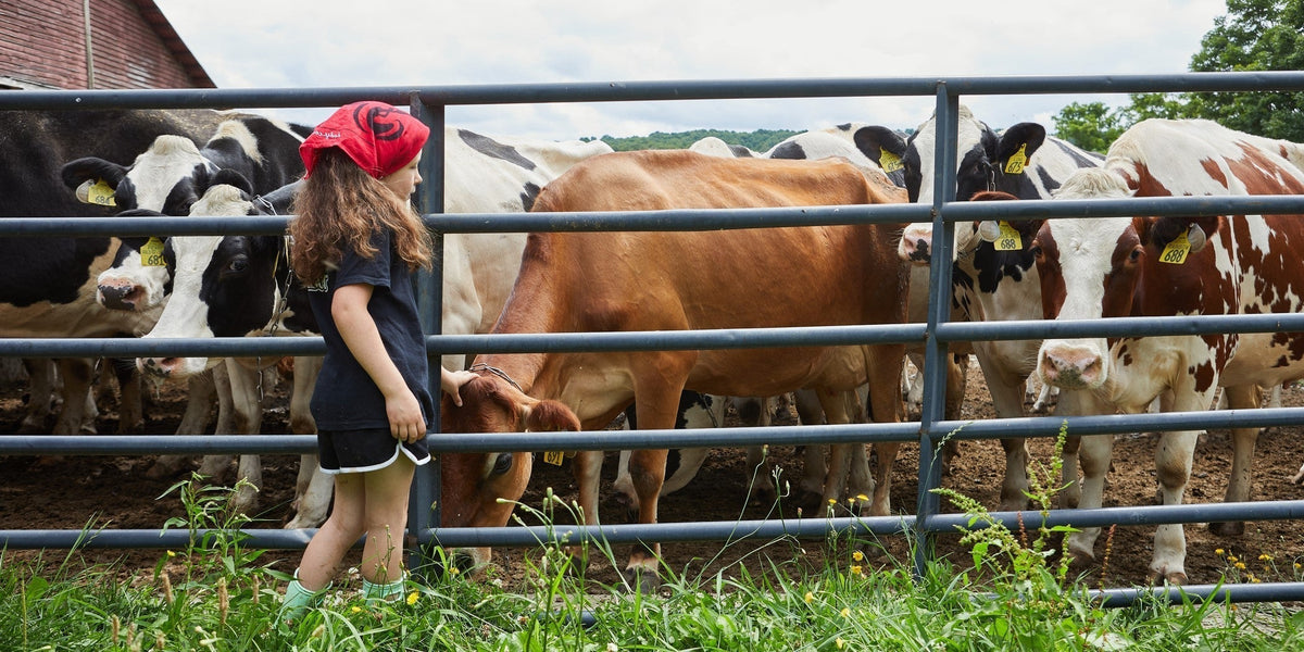 #FarmLove – Maple Grove Farm – County Fairs