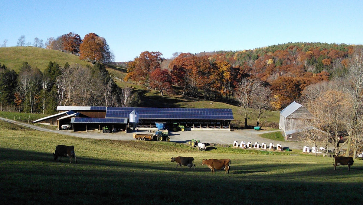 Richardson Family Farm  Hartland, VT