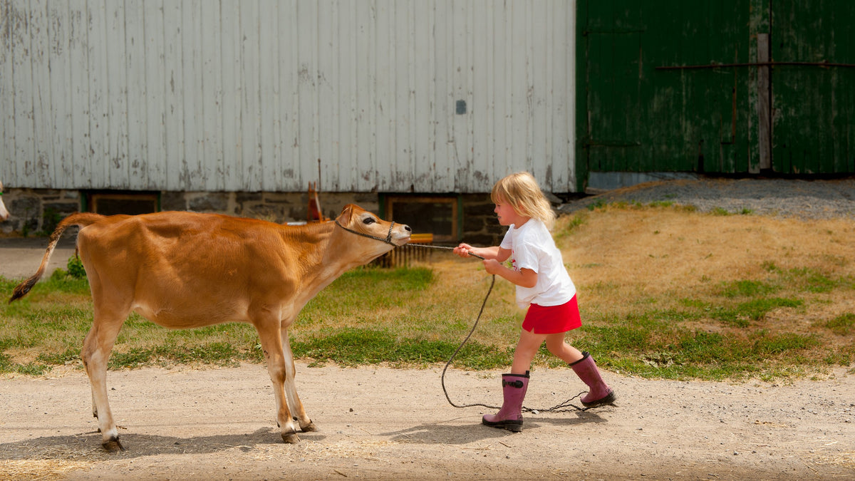 Farmer Friday: Woodcrest Dairy