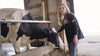 A young girl with long hair pets a black and white cow inside a barn. She is wearing a black long-sleeve shirt and jeans. The cow is eating from the trough. Sunlight streams in from the open barn door in the background.