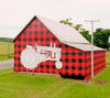 Plaid barn, plaid clothes, plaid team