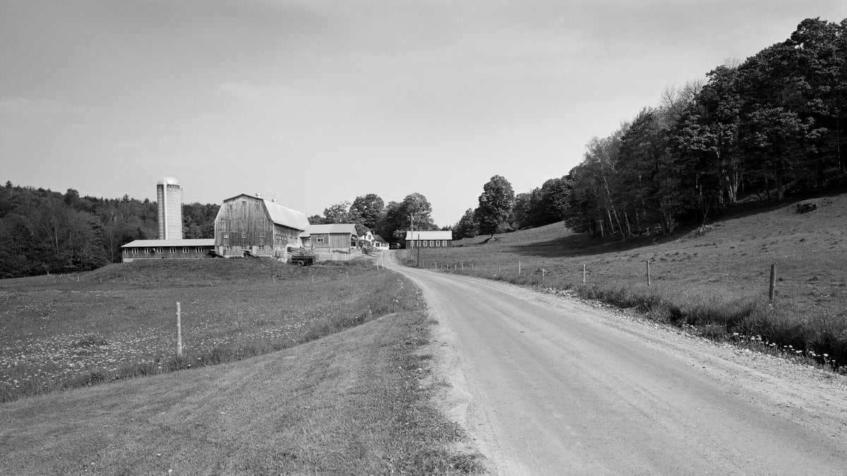 Farmer Friday: Wright Family Farm