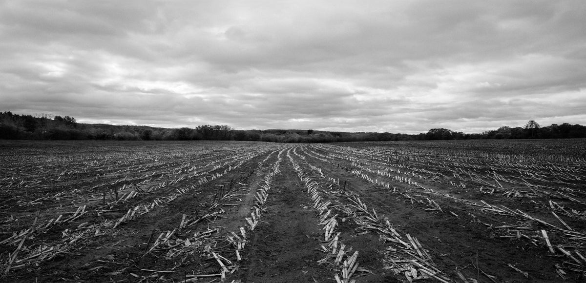 Malnati Farm  Walpole, NH