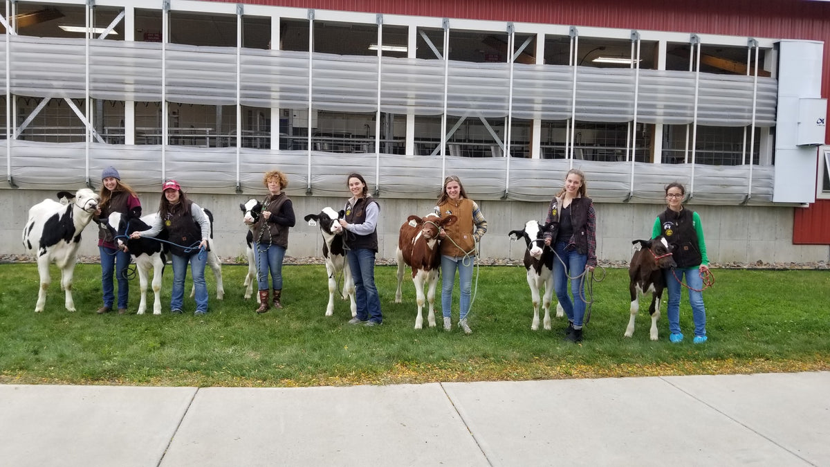 Farmer Friday: UVM CREAM Program