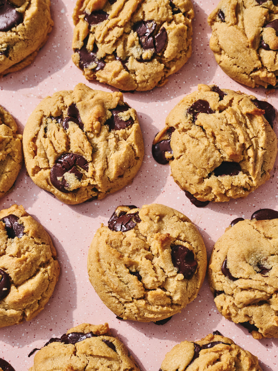 Peanut Butter Chocolate Chip Cookies