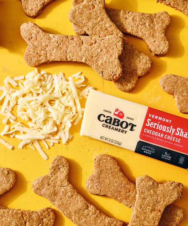 Homemade Easy Cheddar Dog Treats