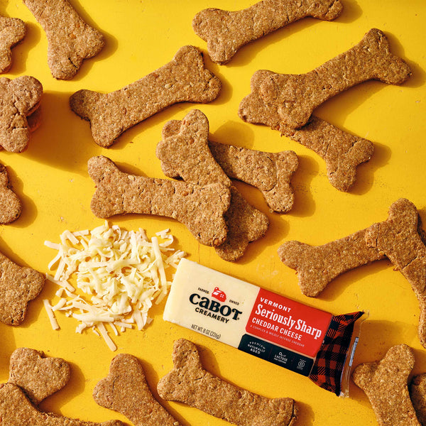 Homemade Easy Cheddar Dog Treats