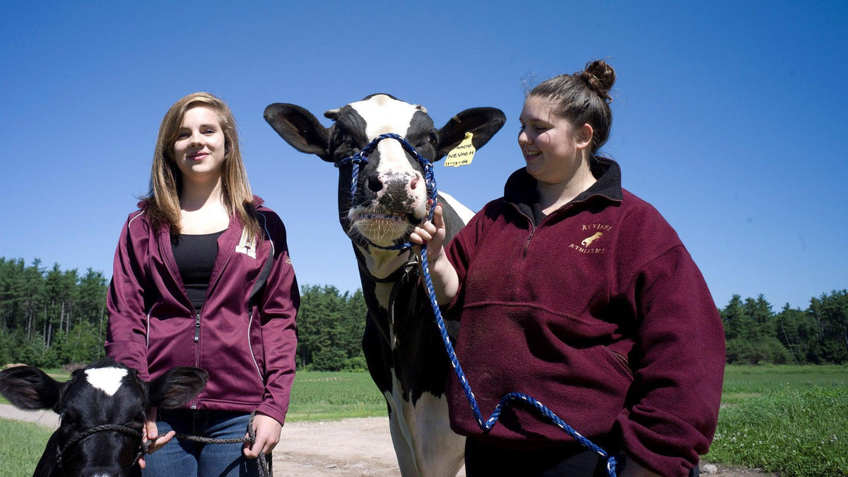 Alvirne School Farm - Hudson, NH