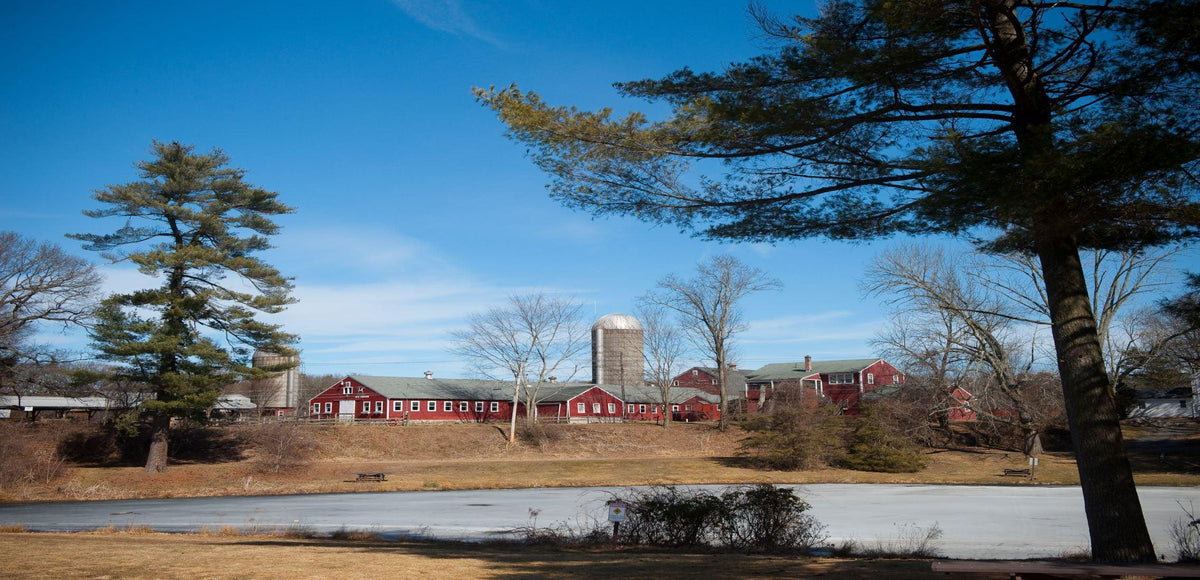 Great Brook Farm  Carlisle, MA