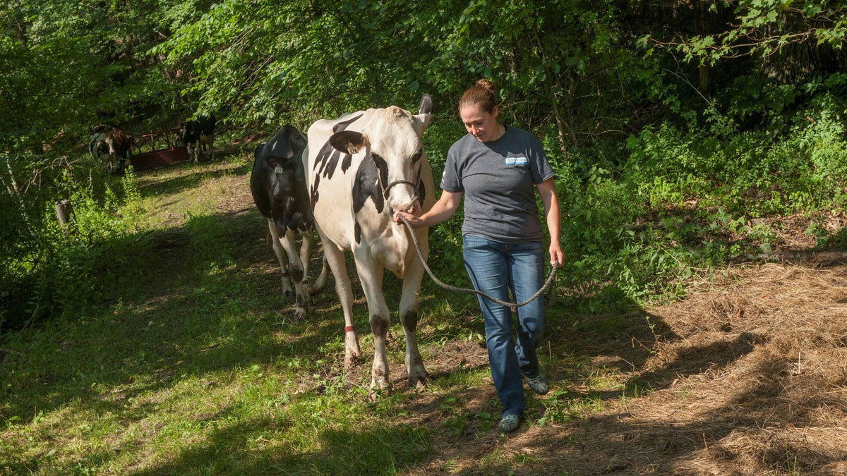 Farmer Friday: Clessons River Farm and the Farmers’ Gratitude Tour