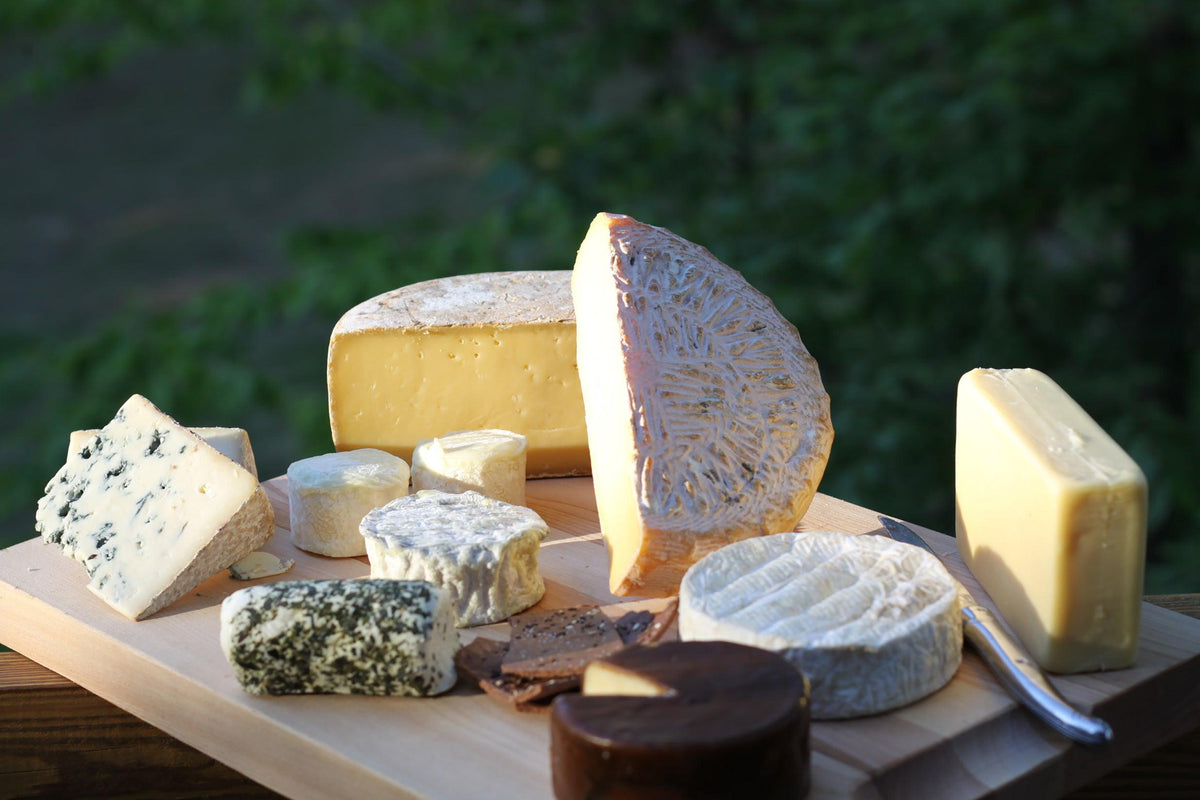 Grate Questions: Why Does Cheese Smell?