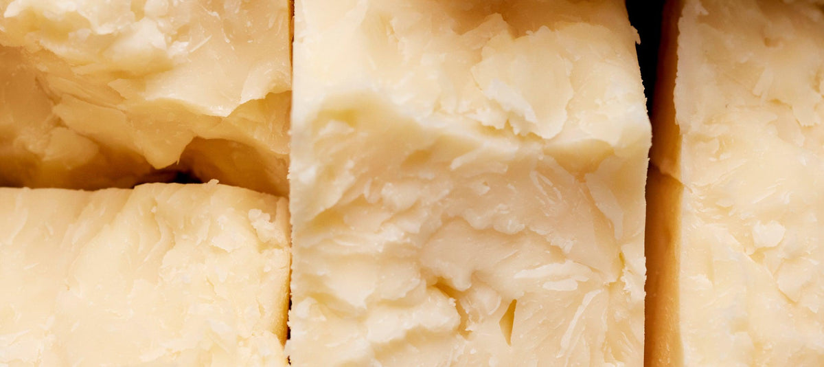 Cheese Board Sensory Building Pairing