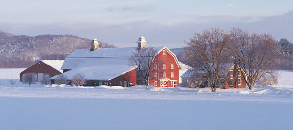 Winter Barn