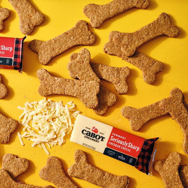 Homemade Easy Cheddar Dog Treats