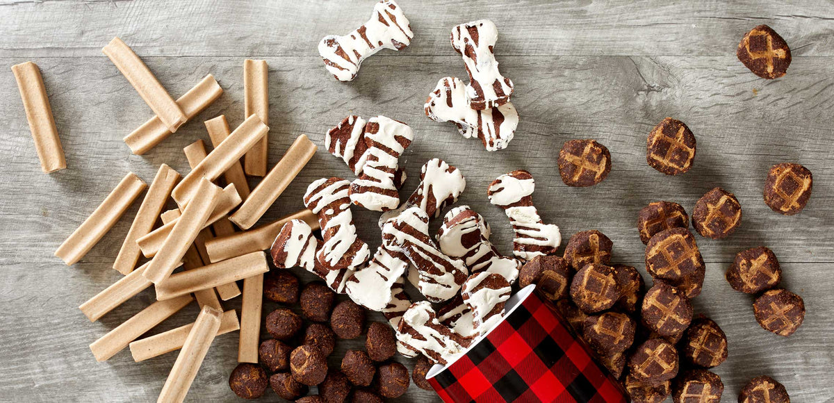 Dog Treat Recipes Your Fur Baby Will Love