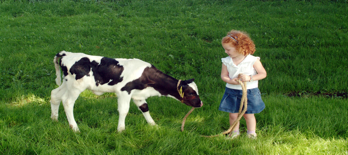 Farmer Friday: Fairmont Farm