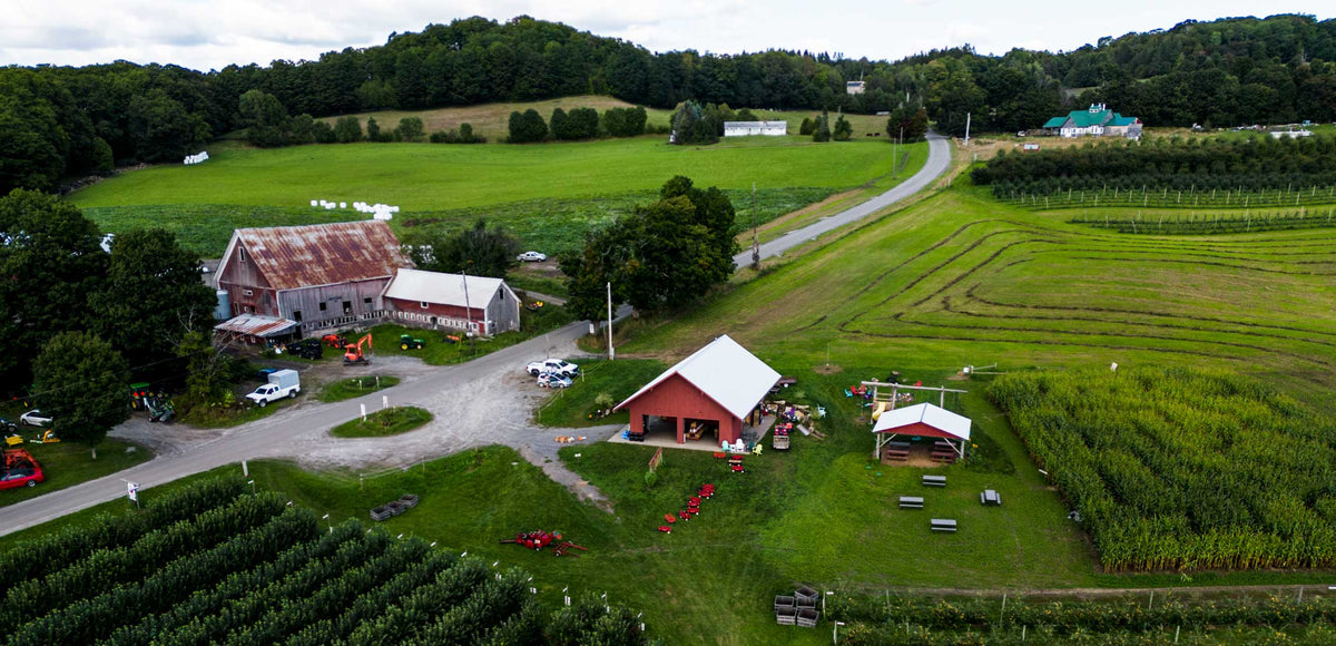 Five Perfect Ways to Spend A Fall Day In Vermont