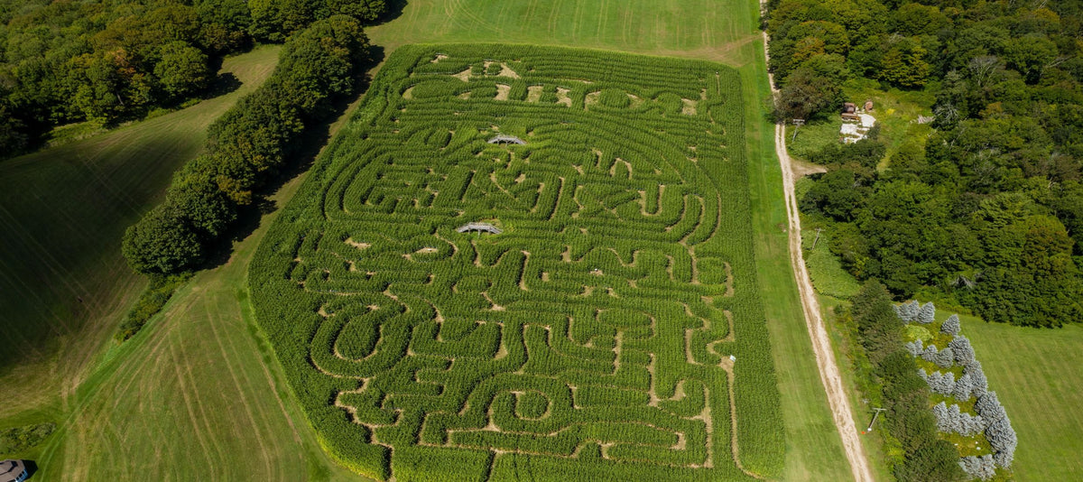 Farmer Friday: Corn Maze