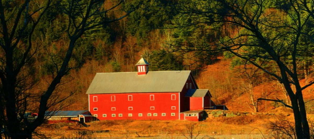 Farmer Friday: Liberty Hill Farm