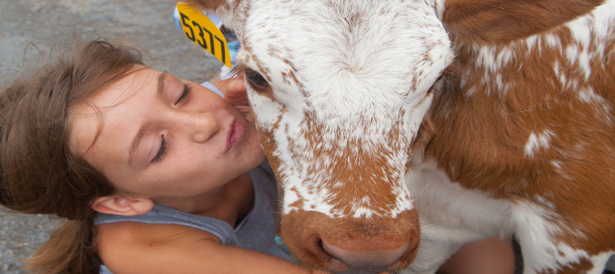 Farmer Friday: Mapleview Dairy