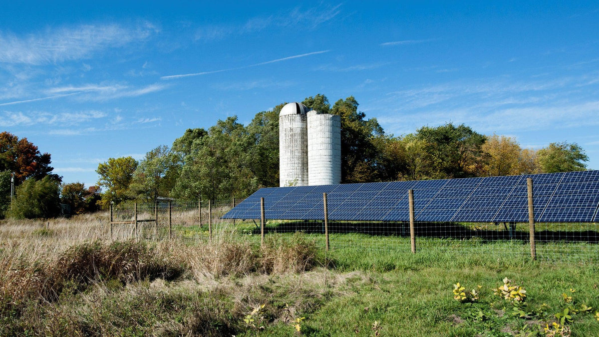 Farmer Friday: What Does Sustainability Mean to Cabot?