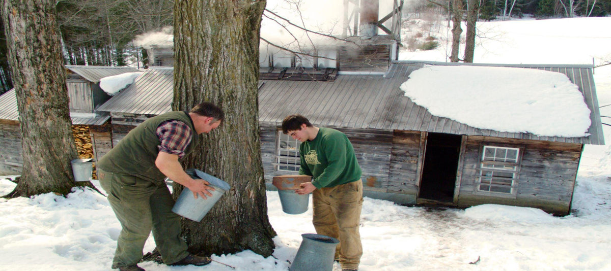 Farmer Friday: Maple Syrup!