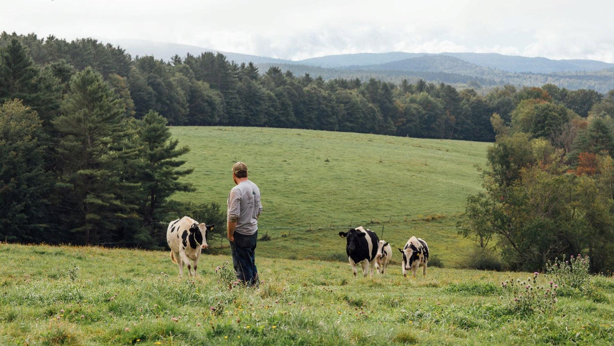 Sanctuary Dairy Farm Sunapee, NH