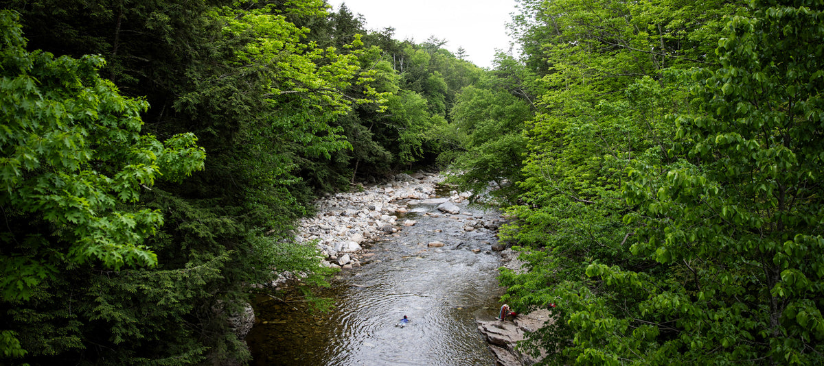 Swimming Holes of Vermont