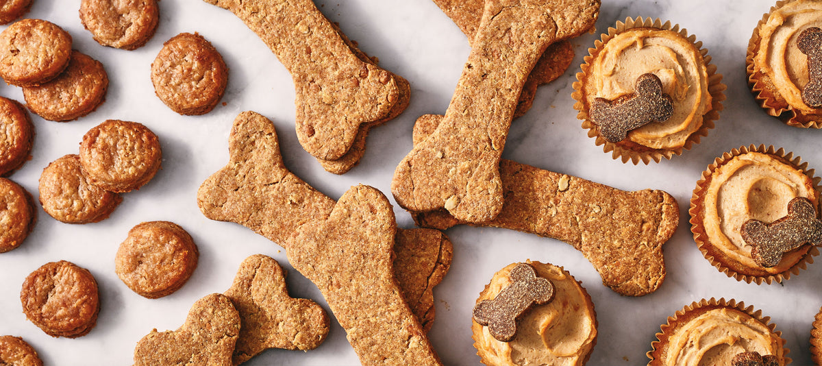 Easy Homemade Pet Treat Recipes