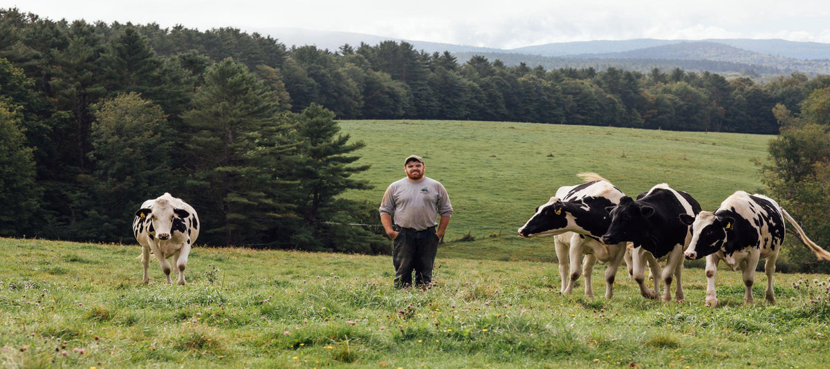 #FarmLove – Sanctuary Dairy Farm