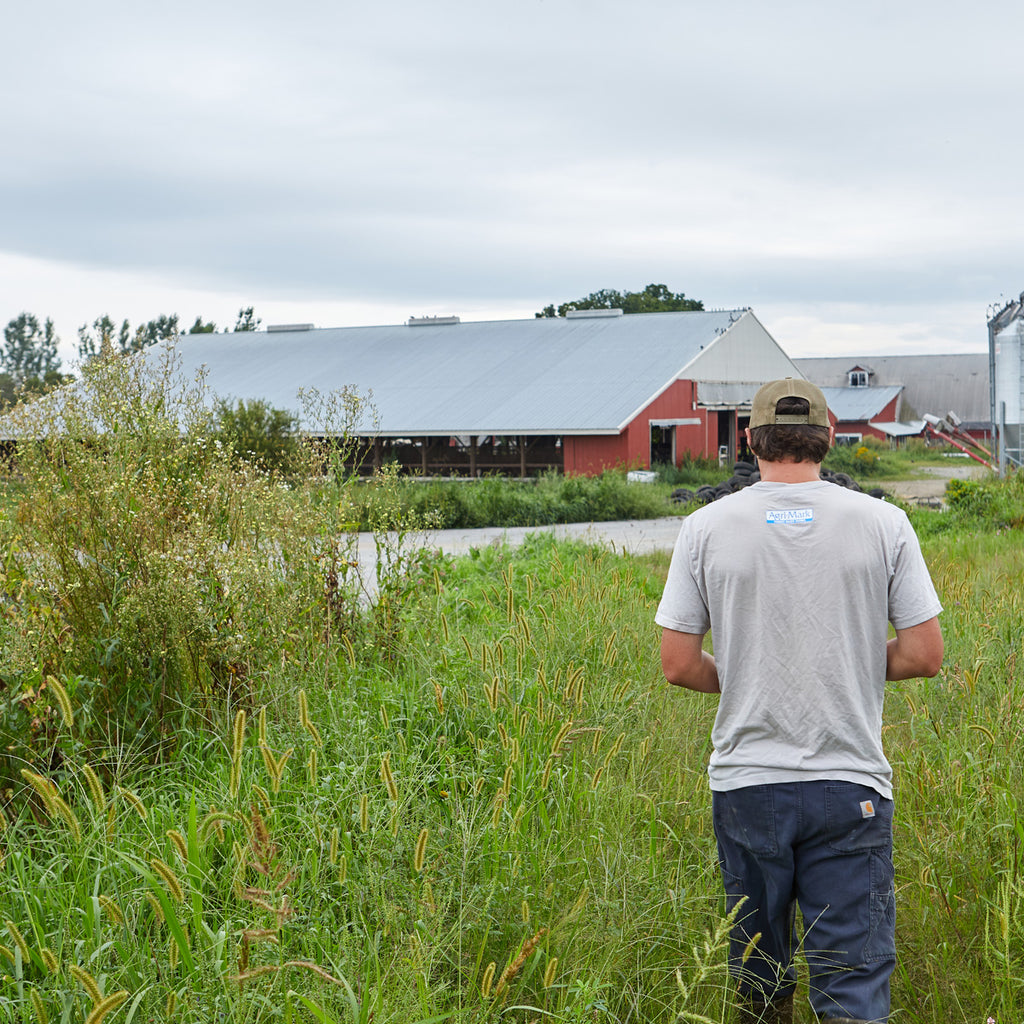 Farmer in a field by red barn