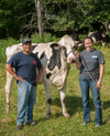 Two farmers with cow