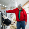 An older man in a red jacket stands inside a barn, smiling and gently petting the head of a black and white cow that is in a stall. The barn is well-lit with rows of lights above.