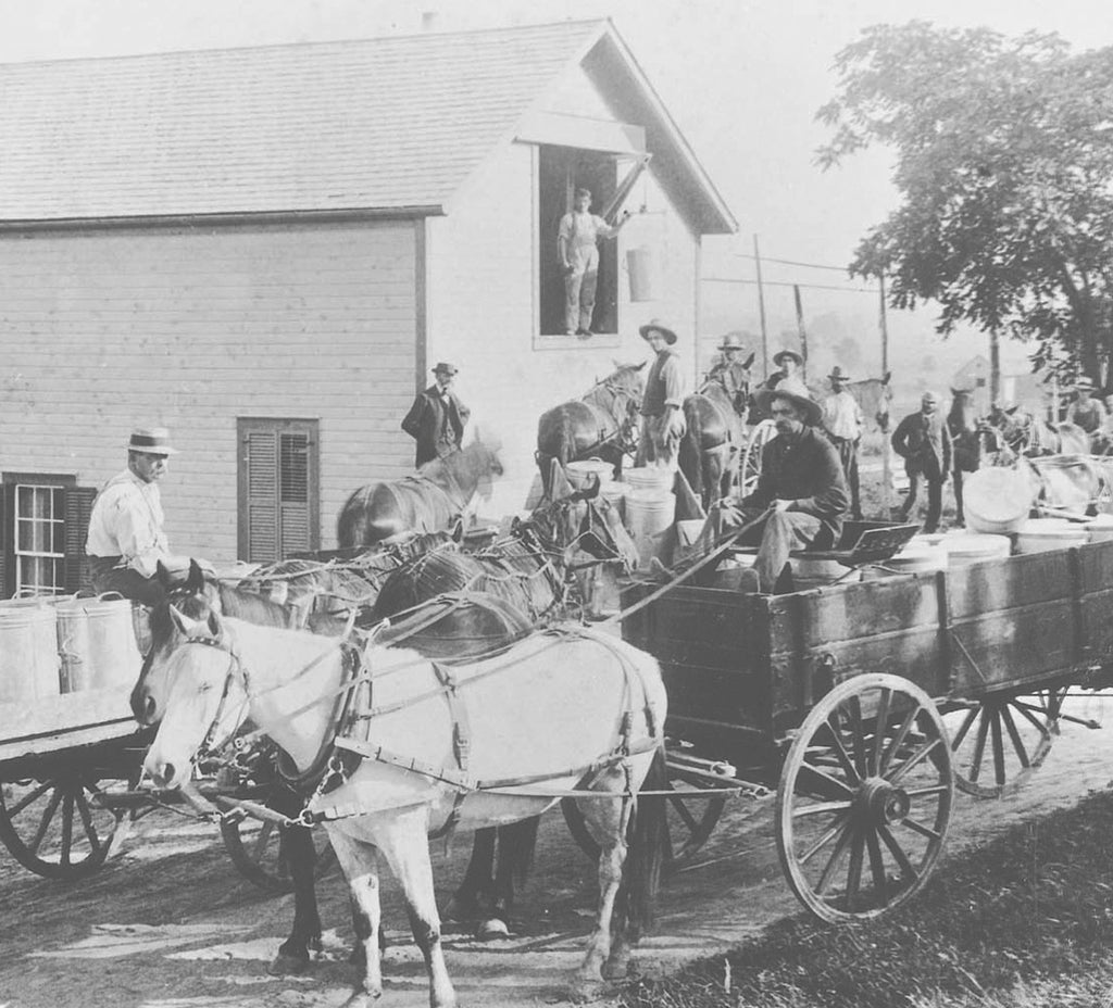 Cabot Farmers on Horses in 191 transporting milk