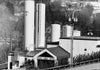 Cabot Plant in Cabot Vermont in Black and white