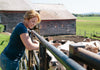 Cabot woman farmer with cows