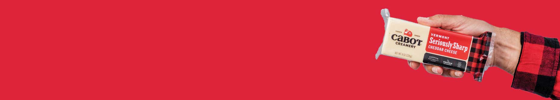Newsletter background