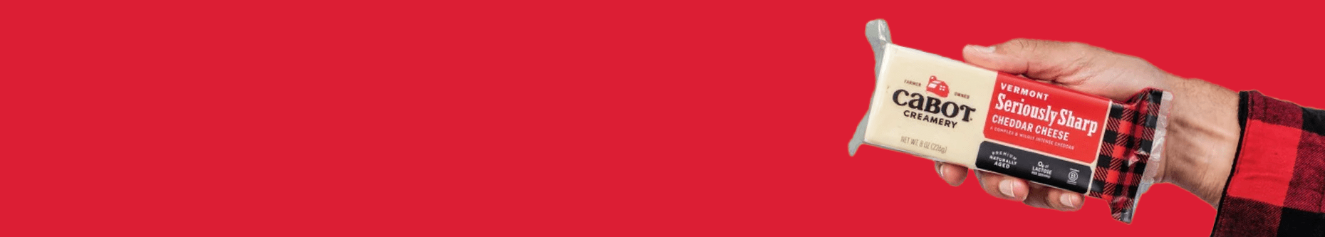Newsletter background