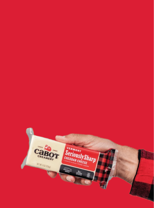 Newsletter background