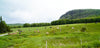 A scenic countryside landscape with green rolling hills and a distant forested mountain. Cows are grazing on the lush grass across the fields under a partly cloudy sky. A small road runs alongside the pasture.