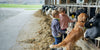 Cabot farm kids and dog with cows