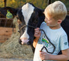 Teddy Hall with Cow